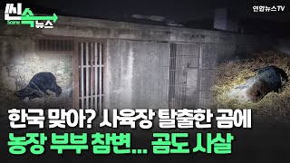 [씬속뉴스] 한국 맞아? 사육장 탈출한 곰에 농장 부부 참변…곰도 사살 / 연합뉴스TV (YonhapnewsTV)