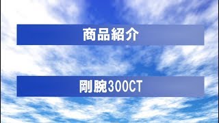 最強脱臭器　剛腕300CTの商品紹介