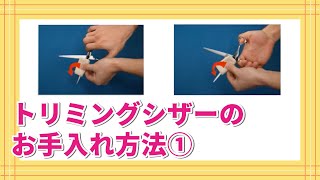 トリミングシザーのお手入れ方法①　【ワンクスクリエイション】