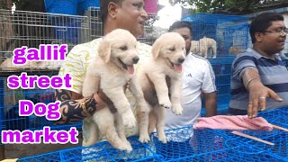 Labrador..pomeranian..Doberman..Spitz..Beagle..chaw chaw..lasa..Golden retriever..German shepherd..