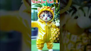 Cute cat video 😻 Amazing videos🐱🥱 #shorts #shortscatsvideos #catvideos