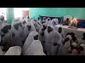 Mai Sithole wauya Mucheki @Hq Chitowa paseka 2025