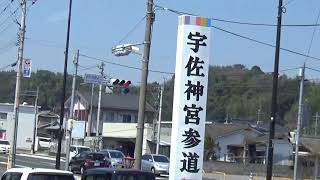 日本北九州賞櫻5日,福岡縣北九州市白野江植物公園參觀結束前往下一個旅程,宇佐神宮170404