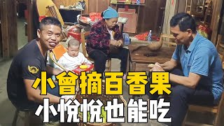 小曾摘回黃金百香果，純甜無酸，小悅悅吃的津津有味，實現水果自由 #侗家老羅