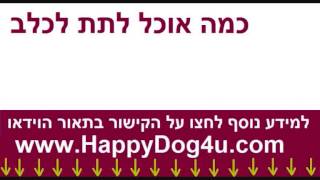 כמה אוכל לתת לכלב