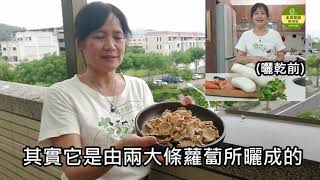 【鎖住新鮮保存食】第二集：蘿蔔除了做成蘿蔔乾和醃蘿蔔外，還可以幹嘛？