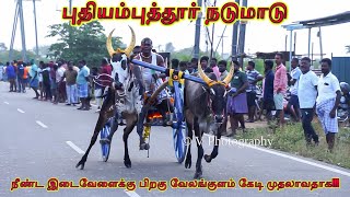 புதியம்புத்தூர் நடுமாடு மாட்டுவண்டி பந்தயம் 04.02.2023 V Photography #reklarace         #bullrace