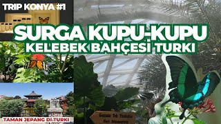 Ratusan Spesies!! Taman Kupu-Kupu Terbesar Se-Eropa !? | Trip Di Konya Turki (Bagian 1)