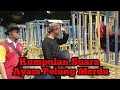 Kumpulan Suara Ayam Pelung Merdu