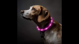 LED Dog Collar | How Can Be Cut & Still Work？| Bseen