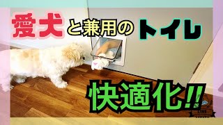 [二拠点生活] 30 トイレ兼脱衣所をプチ改装 ペットドアで愛犬も快適