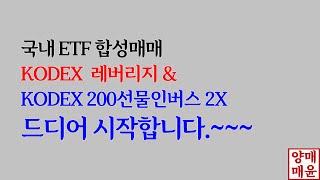 [주식]국내 ETF 합성매매 KODEX 레버리지 \u0026 KODEX 200선물인버스2X