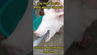 Vlog Bảo Ân. Cách lấy màu lợn quay Lạng Sơn