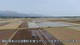 佐渡の空から（2022年4月21日）