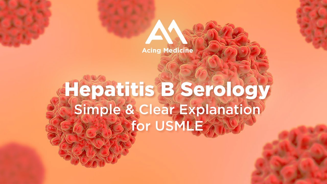 Hepatitis B Serology I Simple Explanation USMLE - YouTube