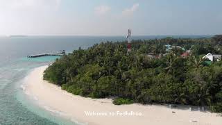 Snorkeling, Diving | Fodhdhoo Maldives