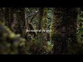 Realm of the Gods - Short film about Kaua'i's forest birds