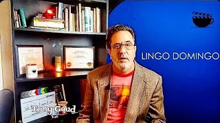 LINGO DOMINGO! An Introduction to The Segment