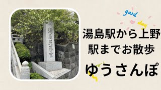 【ゆうさんぽ】#7 湯島駅から上野駅までお散歩