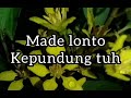 tembang lawas bali made lonto kepundung tuh lirik lagu bali