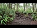 Cape Flattery (Olympic National Park), Neah Bay, Washington - Trail Walk Thru.