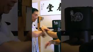 IP Man Wing Chun explained by Master Samuel Kwok