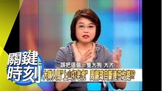 馬扁＂延安老巢＂保衛戰揭祕！？2008年 第0516集 2200 關鍵時刻