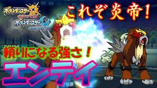 【ポケモンUSUM】これぞ炎帝！頼りになる強さ！エンテイ【ウルトラサン/ウルトラムーン】