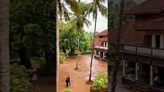 മലയാള സിനിമയുടെ തറവാട്  ഒറ്റപ്പാലത്തിനു സമീപംസ്ഥിതിചെയ്യുന്ന വരിക്കാശ്ശേരിമന #shootingplace #kerala