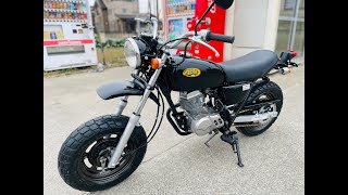 Honda エイプ50