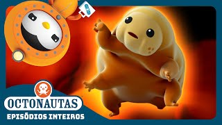 Octonautas - 🐻 Os Ursos Aquáticos ⛑️ | Terceira Temporada | Episódios inteiros