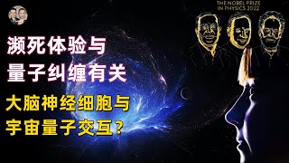 超微觀世界決定瀕死體驗是量子糾纏態，人死後回歸宇宙中心點！證明人類精神與意識是量子態！|宇哥与小糖