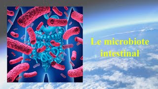 Le microbiote intestinal