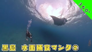 【360°映像】🏝️黒島の冬の名物‼️沢山のマンタが集まってきます😁