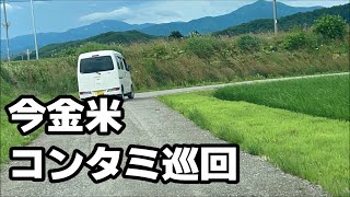 ”コンタミ”巡回って何？　【今金町のお米】【安全安心の取組み】【今金町稲作部会】