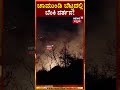 fire breaks out at mysuru chamundi hills ಚಾಮುಂಡಿ ಬೆಟ್ಟದಲ್ಲಿ ಬೆಂಕಿ ನರ್ತನ n18s