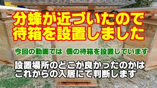 ミツバチ飼育10　 待箱の設置