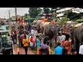 ആനപ്പുറത്തുന്ന് കാല്തെന്നി നെഞ്ചടിച്ചുവീണ് യുവാവ്😥😥 സൂക്ഷിച്ചാൽ ദുഃഖിക്കേണ്ട elephant mahout