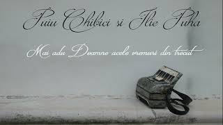 Album (11) Ilie Puha și Puiu Chibici - Mai adu Doamne acele vremuri (Acordeon)