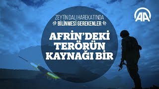 Afrin'deki terörün kaynağı bir