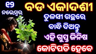 ଦେବ ଉତ୍ଥାପନ ଏକାଦଶୀ ଦିନ ତୁଳସୀ ମୂଳରେ ବାନ୍ଧିଆ ଦିଅନ୍ତୁ ଏହି ଗୁପ୍ତ ଜିନିଷ ରାତା ରାତି ହେବେ କୋଟିପତି ll