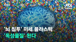 뇌까지 침투한 미세 플라스틱 '독성물질' 된다 / JTBC 아침&