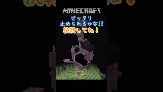 頭の意味とは？枠にピッタリ止められるかなチャレンジ！part211【Minecraft】 #shorts #マイクラ #マインクラフト  #minecraft