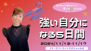 11/13-11/17🌟強い自分になる5日間