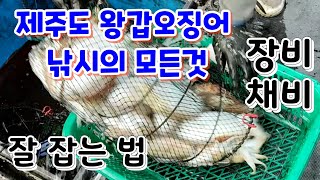 [제주도 왕갑오징어 낚시의 모든것] 장비와 채비 그리고 잘 잡는법