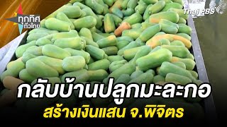 กลับบ้านปลูกมะละกอสร้างเงินแสน จ.พิจิตร | ทุกทิศทั่วไทย | 24 เม.ย. 67