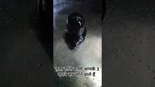 तुला राशि का भाग्य बदलने वाला हैं  🔱3 चमत्कार होने वाले हैं 🔱#trending #viralshortsvedio #subscribe#