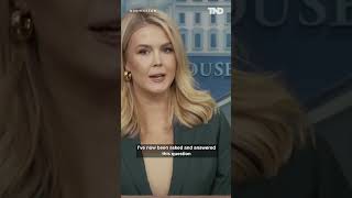 Karoline Leavitt refuses to take CNN's Kaitlan Collin's follow up question during tense briefing