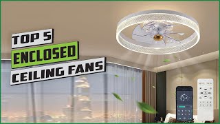 Best Ceiling Fan with Lights [2024]