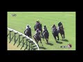 10 22 京都5r 新馬戦 レース映像